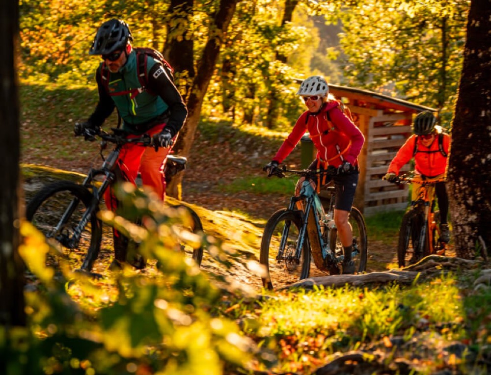 Bike & E-Bike-Touren