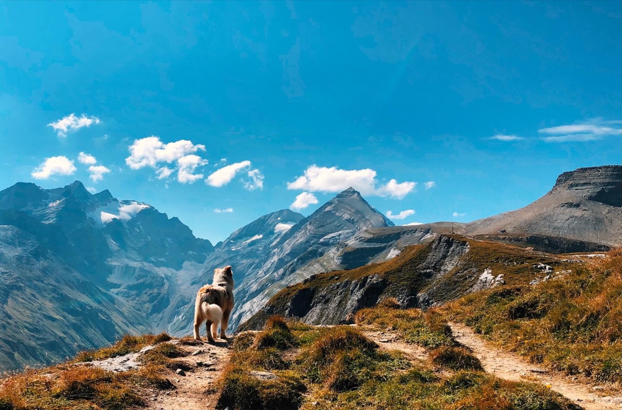 Bergwelt rund um Brigels